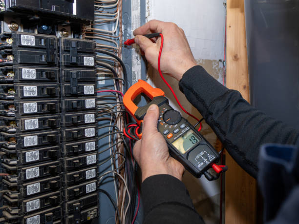 Best Electric Panel Repair  in Muskego, WI